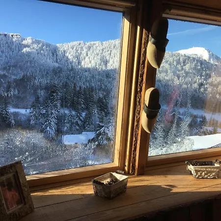 Apartment Bellevue-pied De La Montagne - Dore