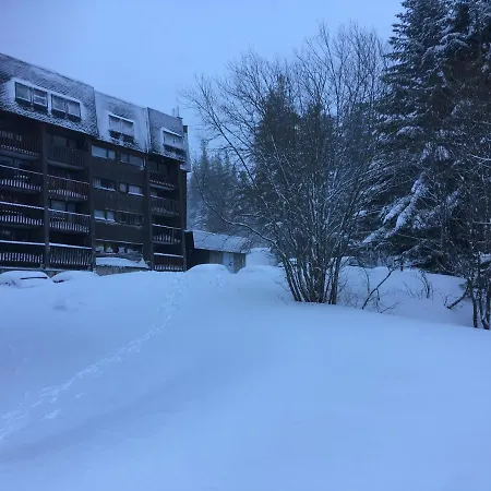 Apartment Bellevue-pied De La Montagne - Dore